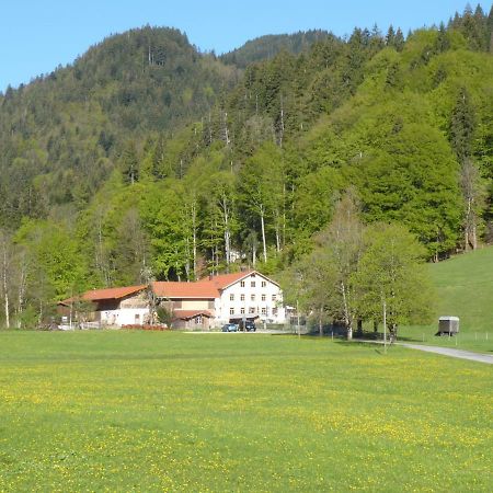 Gasthof Fallmuehle Пфронтен Екстериор снимка