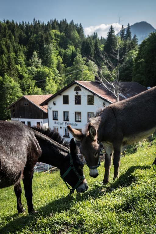 Gasthof Fallmuehle Пфронтен Екстериор снимка