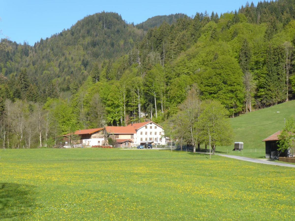 Gasthof Fallmuehle Пфронтен Екстериор снимка